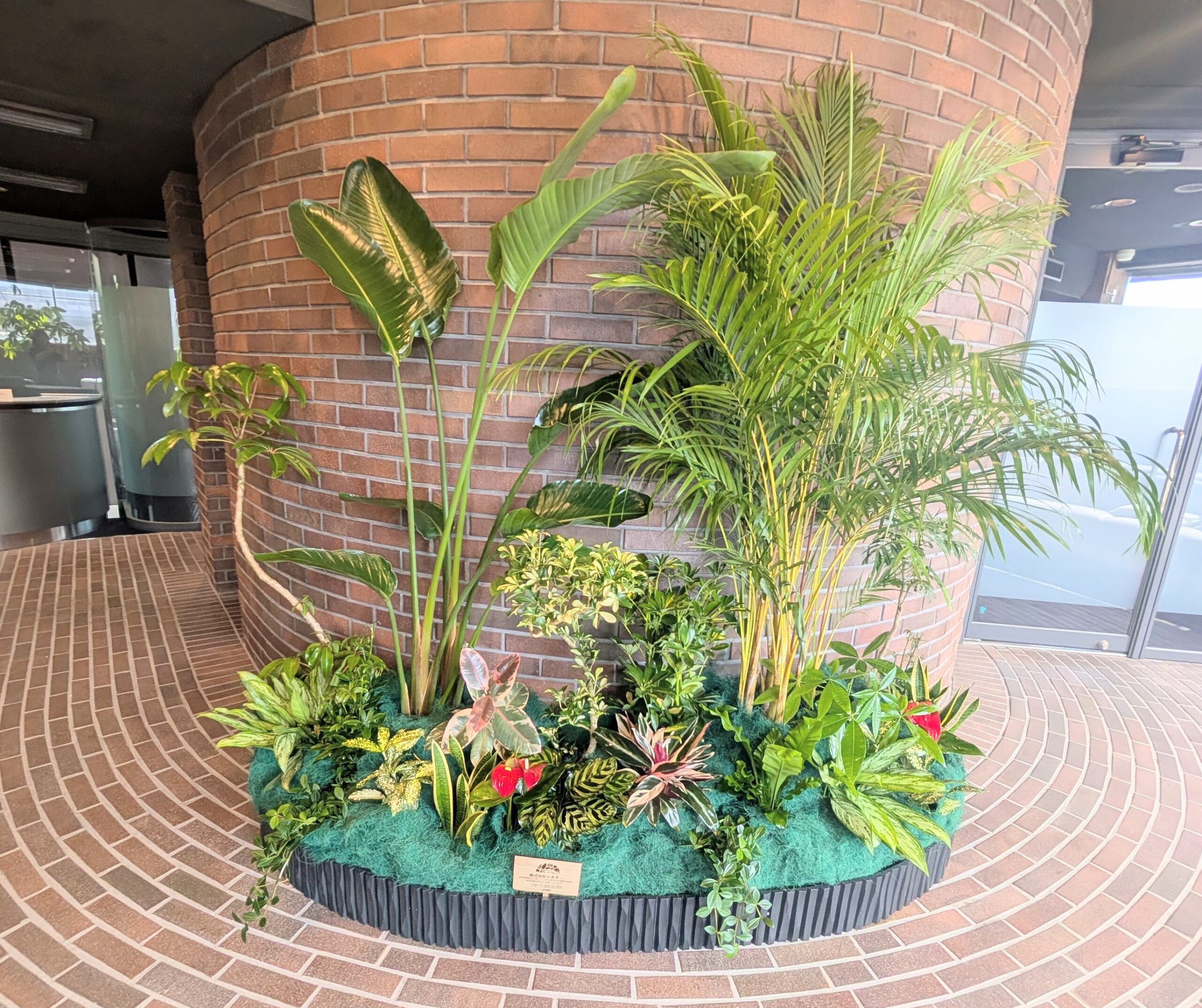 空間に森をつくる「グリーバ」