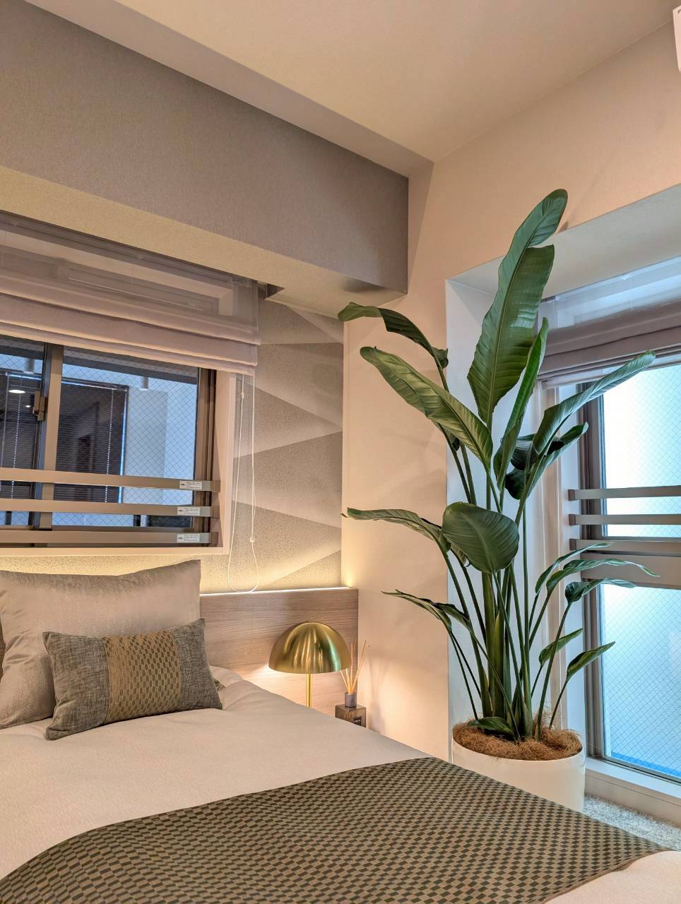 春のモデルルームを彩る観葉植物レンタル