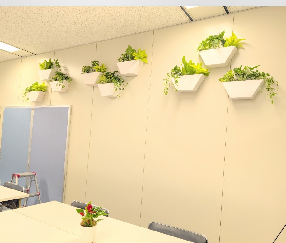 会議室に壁掛け生植物