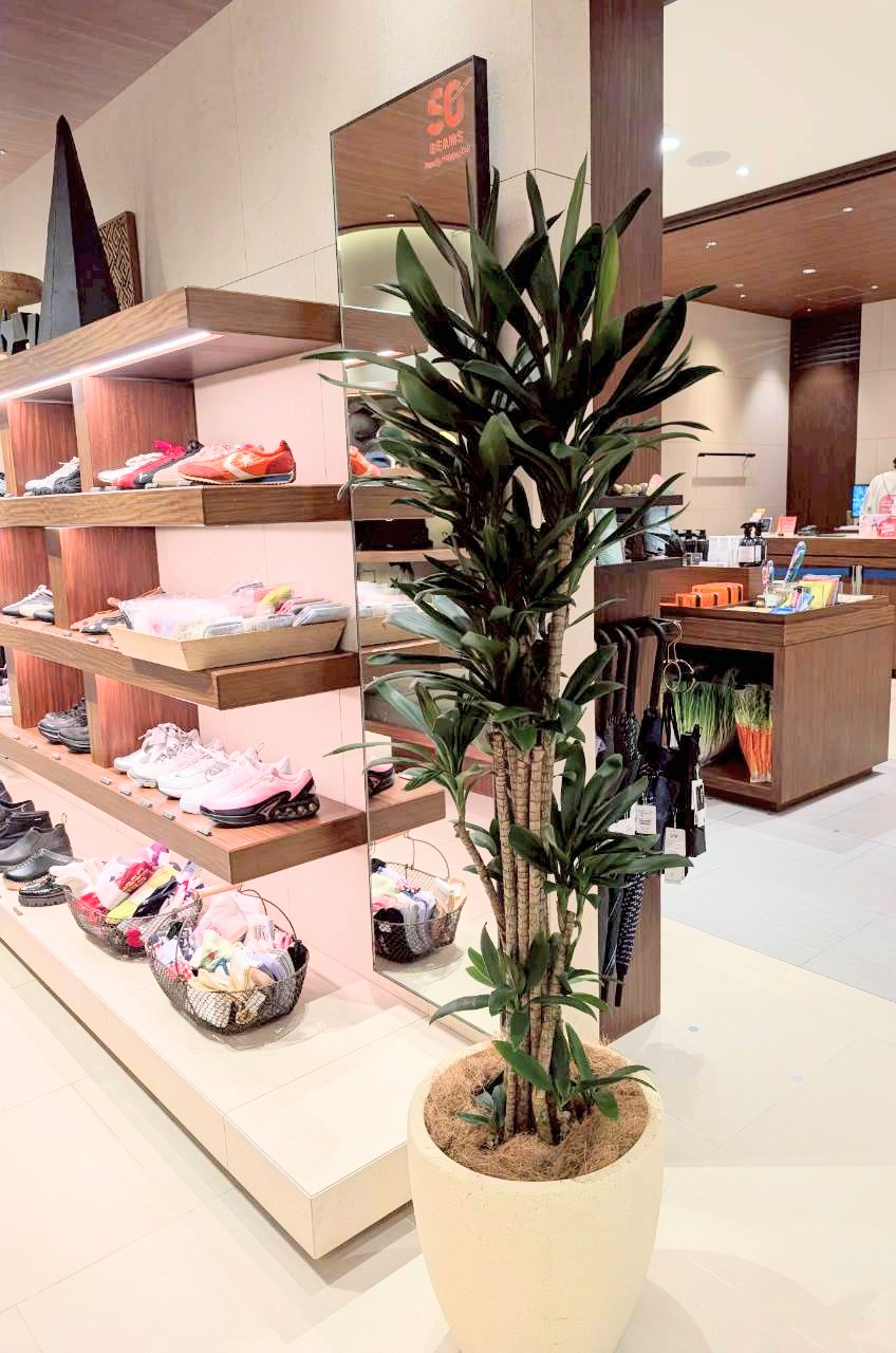 アパレル店舗におすすめの観葉植物で上質な売り場づくり