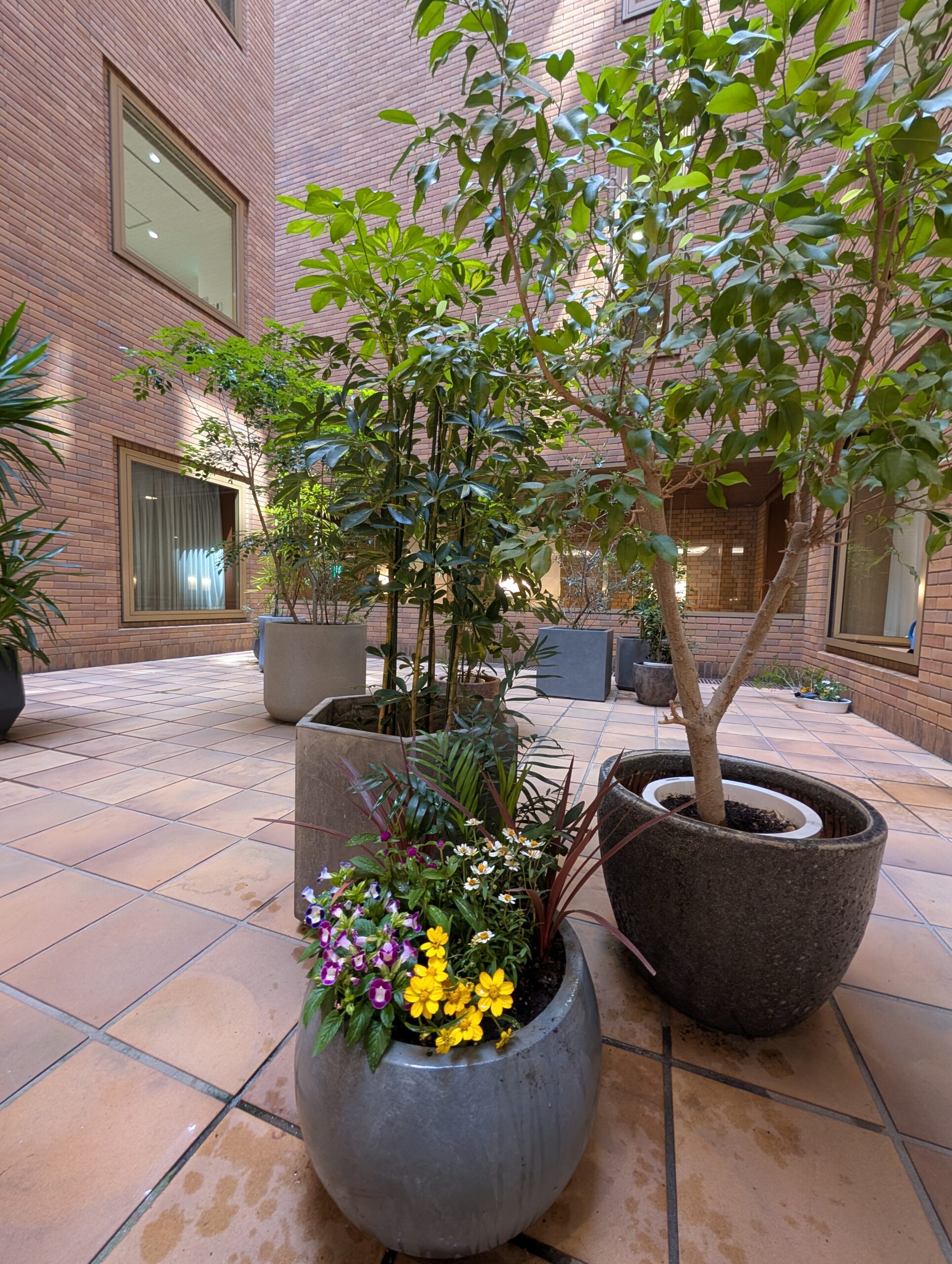 【オフィス緑化】社員食堂の大きな窓から見える癒やし！商社様の中庭・植栽レンタル事例