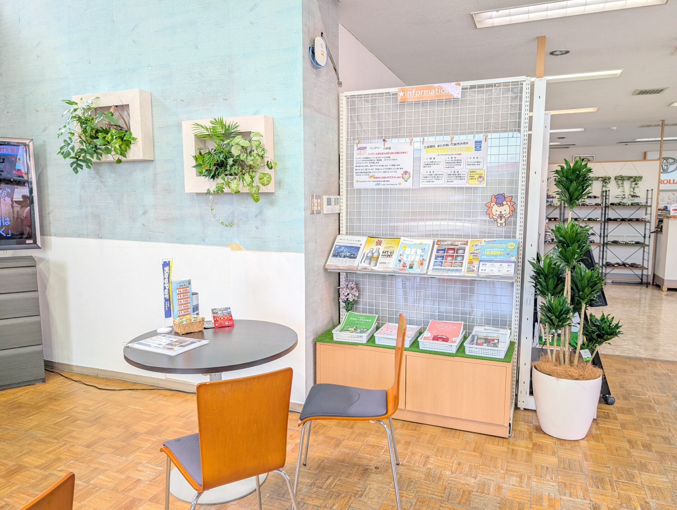 カーディーラーの商談スペースを快適に！観葉植物レンタルでリラックス空間を演出